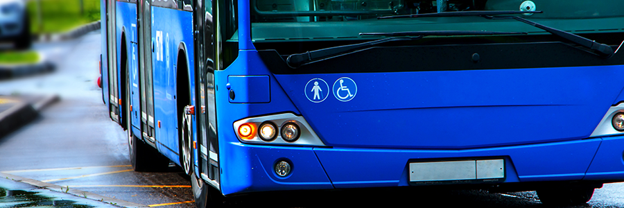 World Cup Bus: ônibus escolar trará 15 passageiros para assistir
